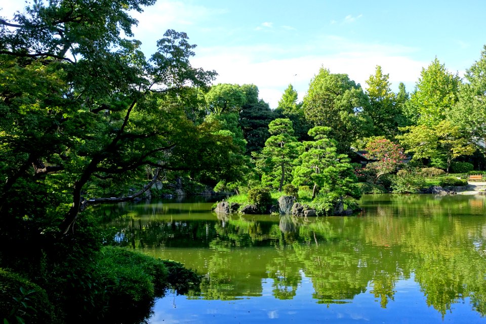 Old Yasuda Garden - Tokyo, Japan - DSC06459
