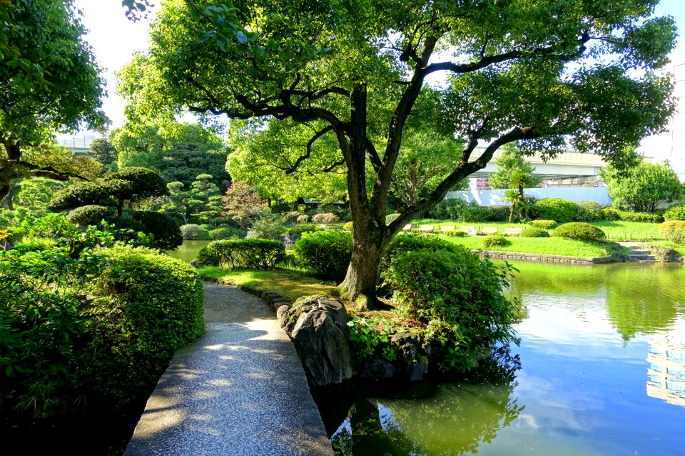 Old Yasuda Garden - Tokyo, Japan - DSC06529