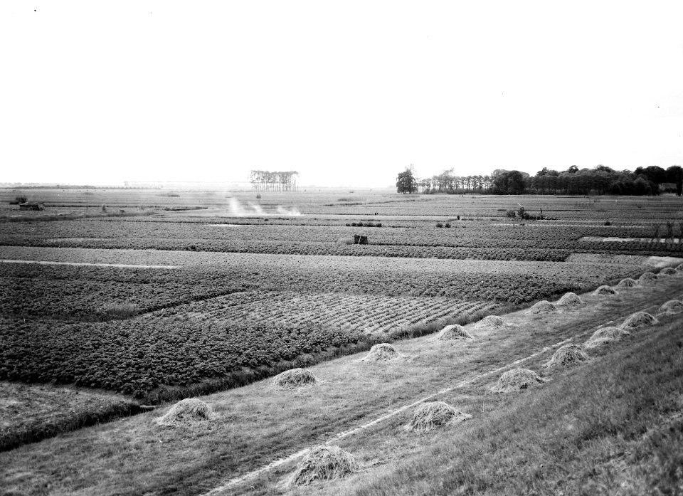 Ooigrond met tuinderij, Bestanddeelnr 194-0823