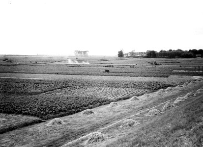 Ooigrond met tuinderij, Bestanddeelnr 194-0823