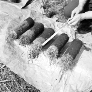 Ontginning, grondbewerking, egaliseren, bezanden, veenproppen, Haerst, Genne, Bestanddeelnr 159-0394