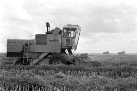 Oogsten van koolzaad in Zuidelijk Flevoland, Bestanddeelnr 926-5673