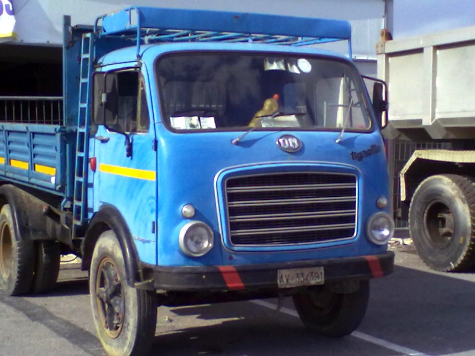 OM Tigrotto pick-up