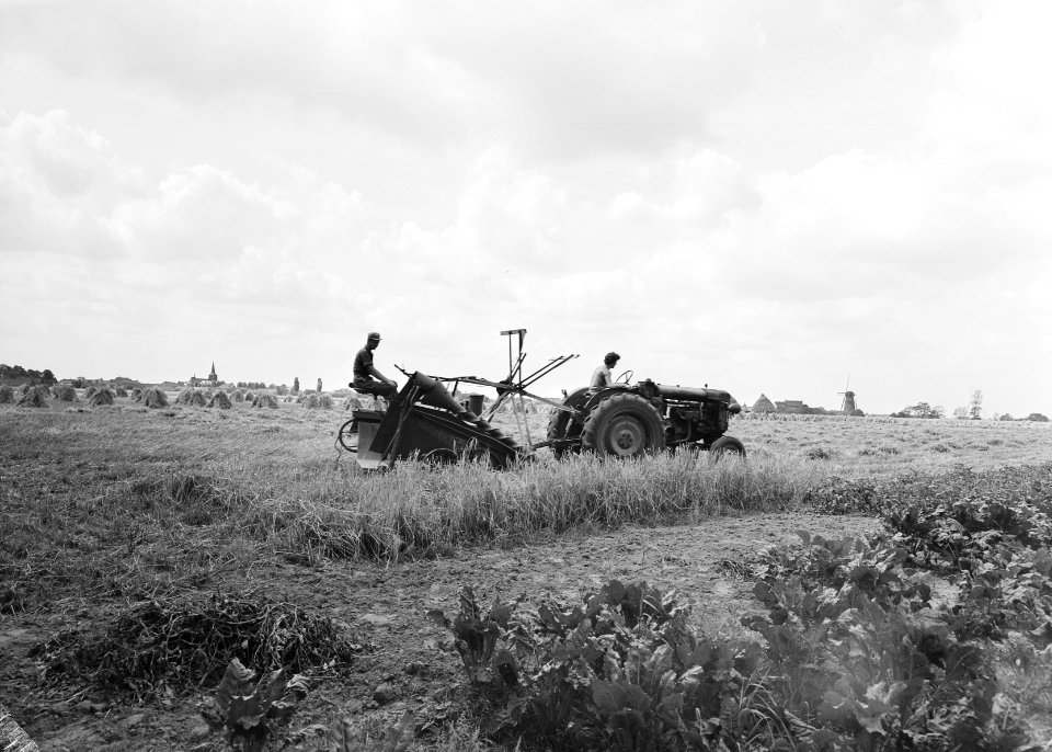 Ontginning, zaaien en oogsten gewassen, arbeiders, Heythuysen, Bestanddeelnr 160-0259
