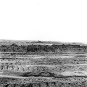 Ontginning, grondbewerking, egaliseren, bezanden, terreinen, De Wilreit, Bestanddeelnr 159-0578