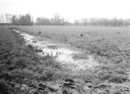 Ontginning, grondbewerking, egaliseren, bezanden, graslanden, Bestanddeelnr 159-0315