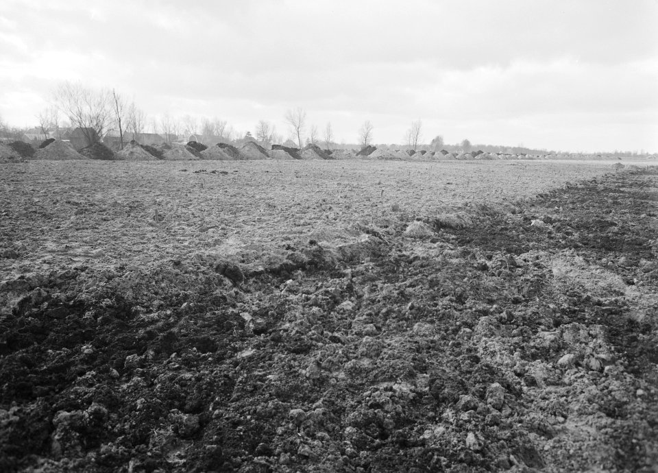 Ontginning, grondbewerking, egaliseren, bezanden, westerhoeven, Bestanddeelnr 159-0239