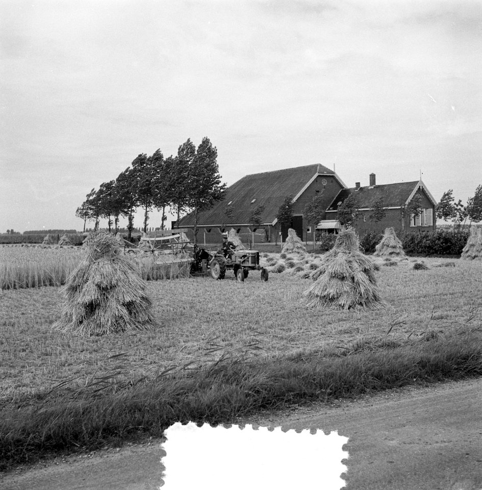 Oogstplaatjes (hooi en boerderij), Bestanddeelnr 905-8647