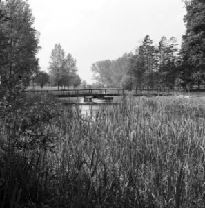 Ontginning, vee in de weide, algemene beelden, turfsteekreportage, water, water , Bestanddeelnr 160-0163