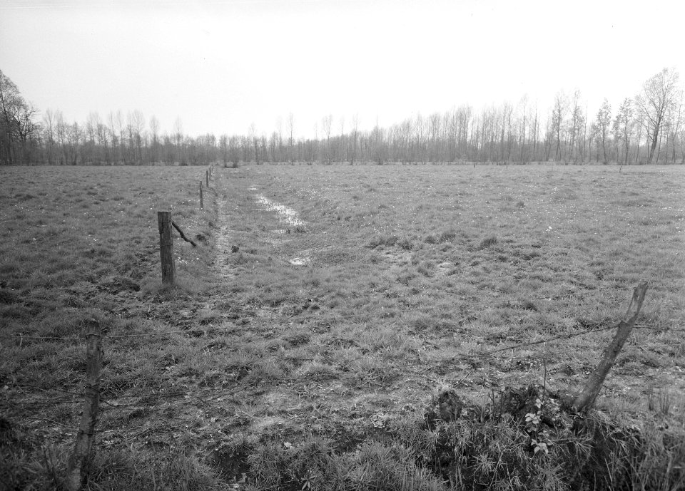 Ontginning, grondbewerking, egaliseren, bezanden, graslanden, Bestanddeelnr 159-0314