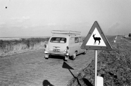 Oostelijk Flevoland . Diverse werkzaamheden aan de nieuwe polder, Bestanddeelnr 913-4613