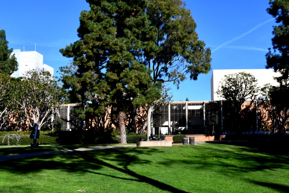 Murphy Sculpture Garden
