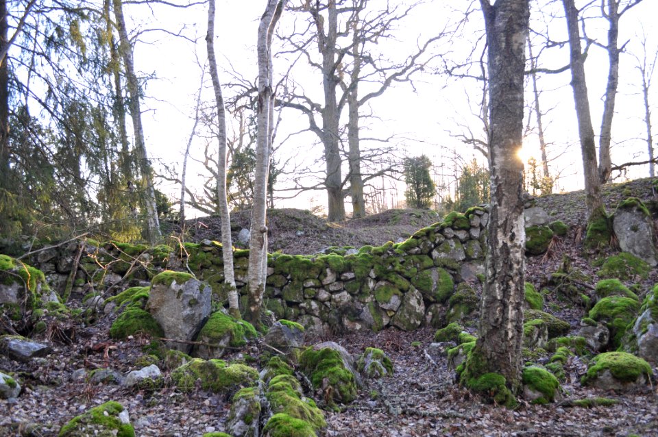 Mur - Stenhammar naturreservat