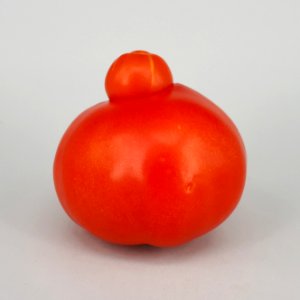 Mutant tomato 2017 B1