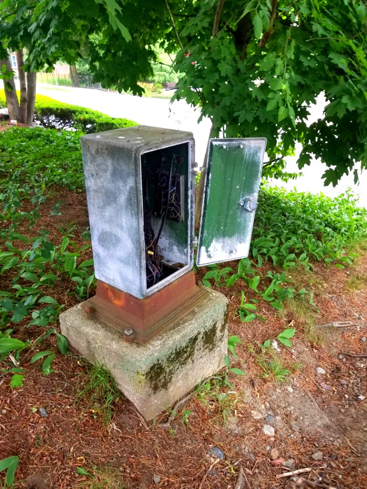 Mystery box - Arlington, MA - 20200624 083201