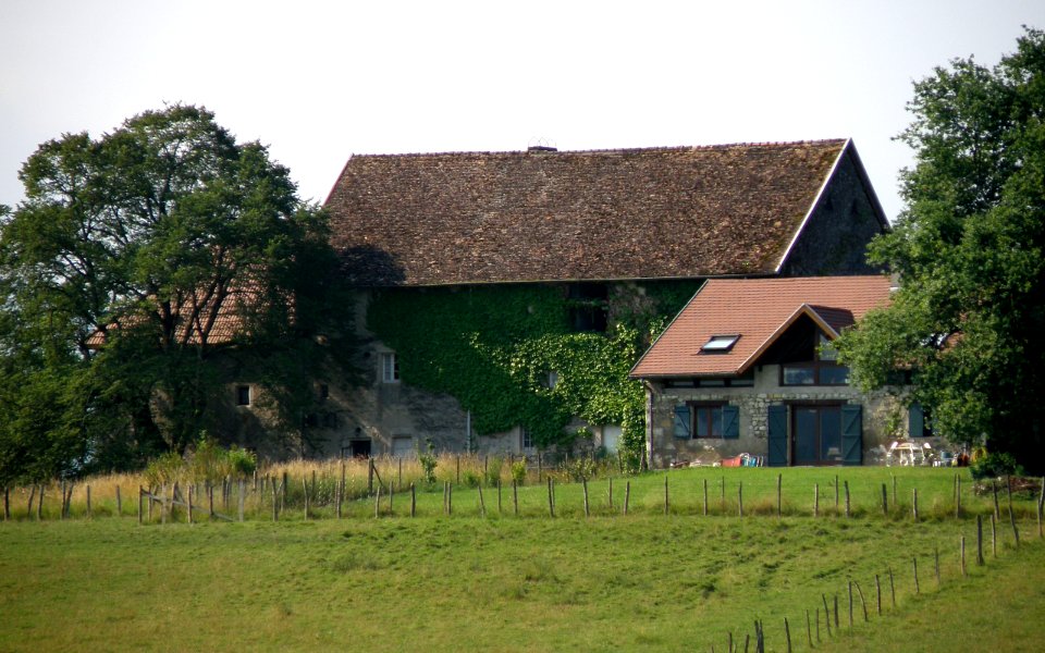 Nattages Château Bochard 2