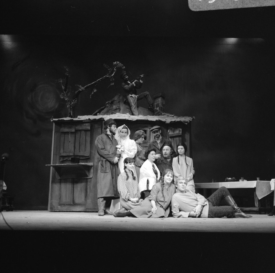 Musical Anatevka, Bestanddeelnr 919-8925