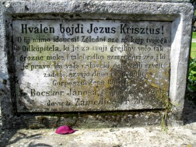 Natpis na Bockor krizi, Copinci
