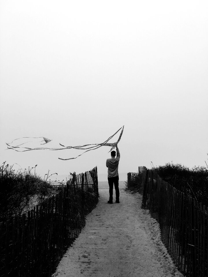 Black and white monochrome fence photo