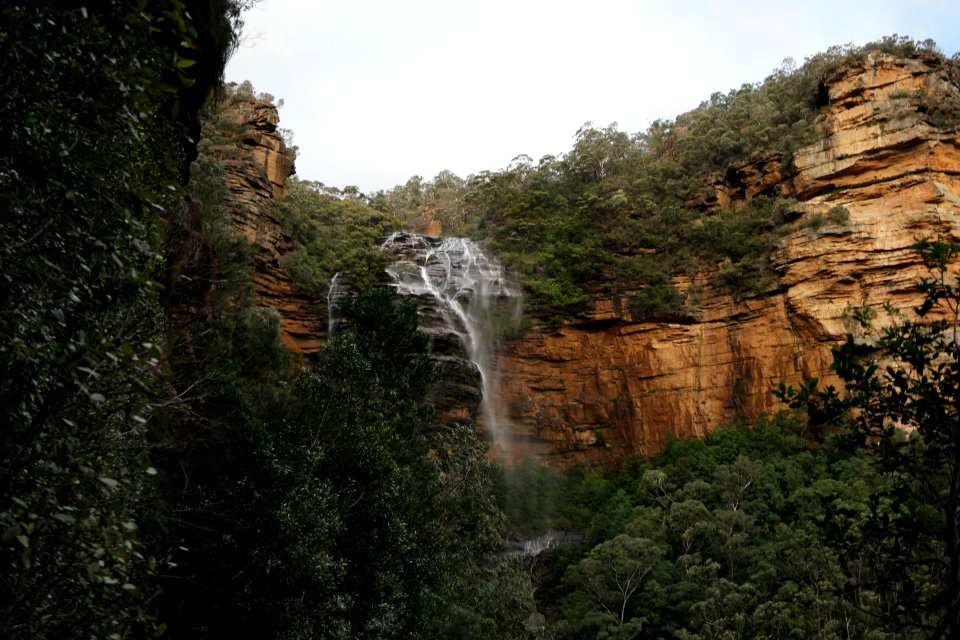 National Pass trail, Blue Mountains National Park 29