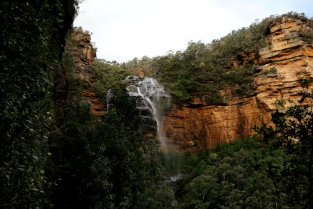 National Pass trail, Blue Mountains National Park 29 photo