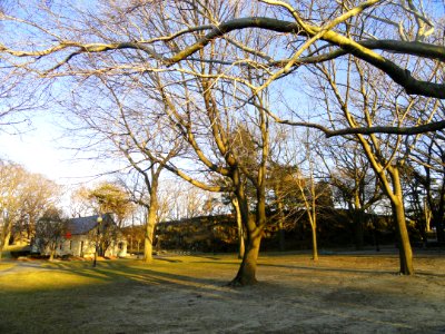 Nathan Tufts Park - Somerville, MA - DSC04334