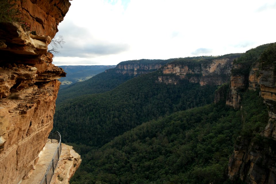 National Pass trail, Blue Mountains National Park 21