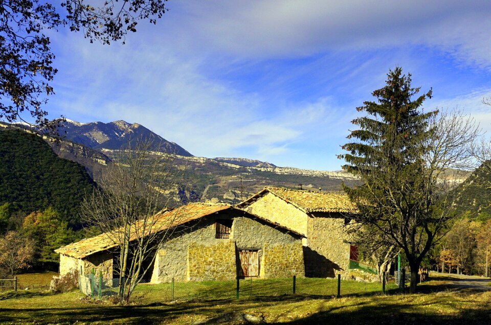 Rural tourism nature tree