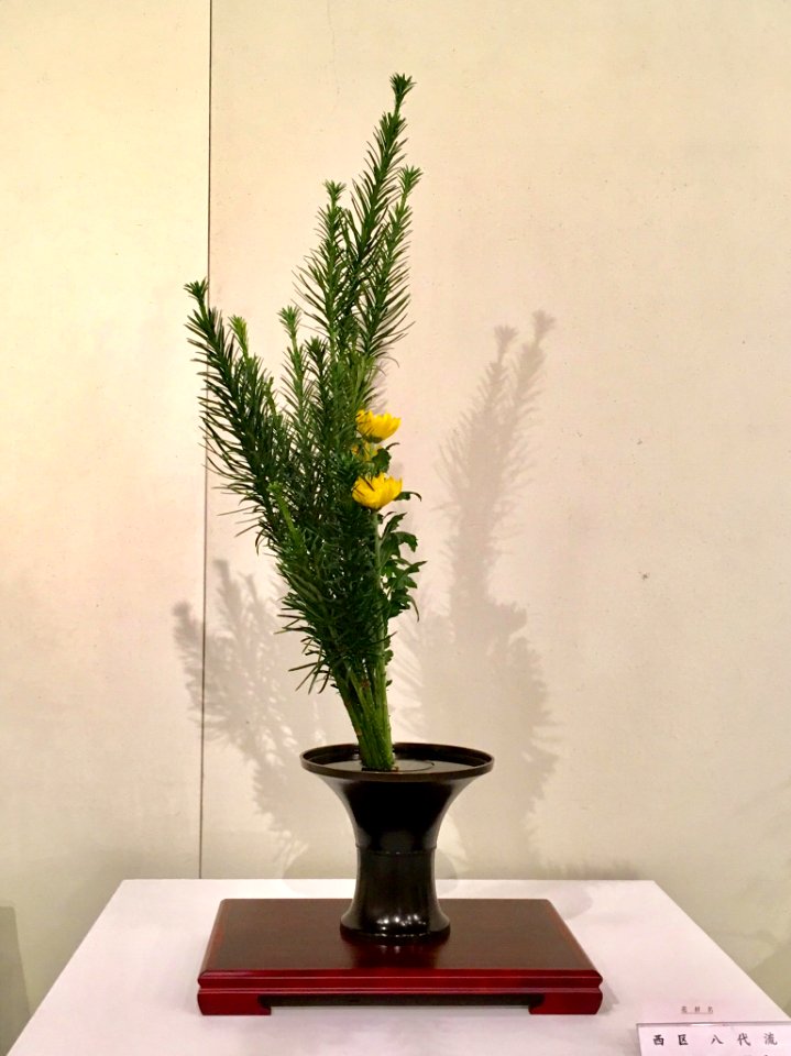Nagoya Ikebana Art Exhibition Sakae Nov 2018 23