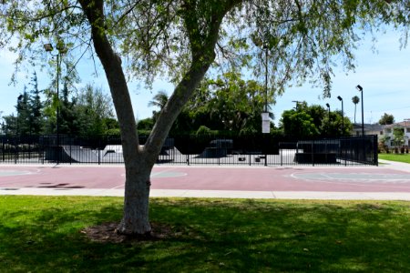 Norwalk Park Skateboard Park, Norwalk, California