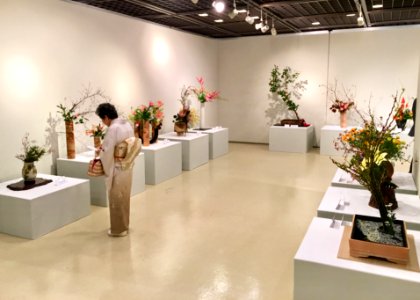 Nagoya Ikebana Art Exhibition Sakae Nov 2018 46