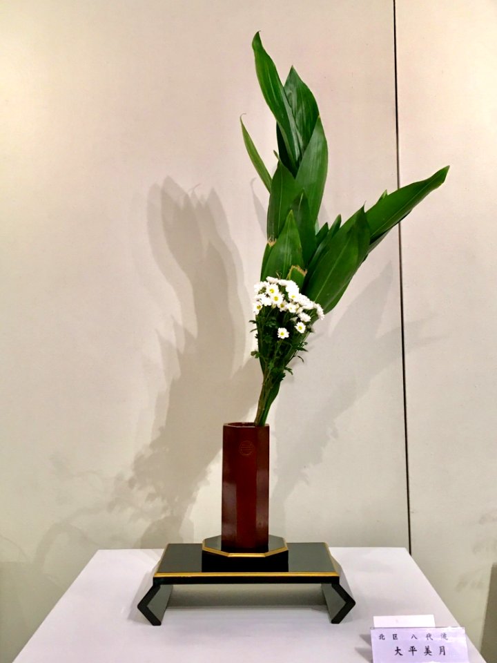 Nagoya Ikebana Art Exhibition Sakae Nov 2018 21