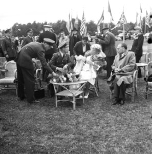 Nato Vliegfeest Soesterberg 40 jaar Militaire Luchtvaart H. M. de Koningin , Pri, Bestanddeelnr 934-5516
