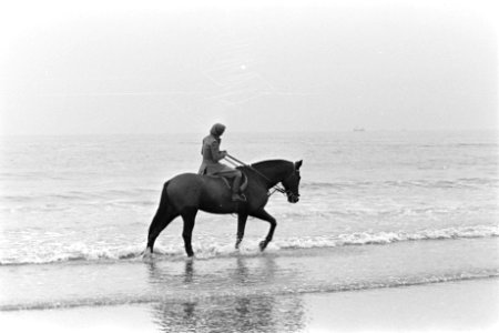Najaarsrijtoer langs Scheveningse strand, Bestanddeelnr 910-8542