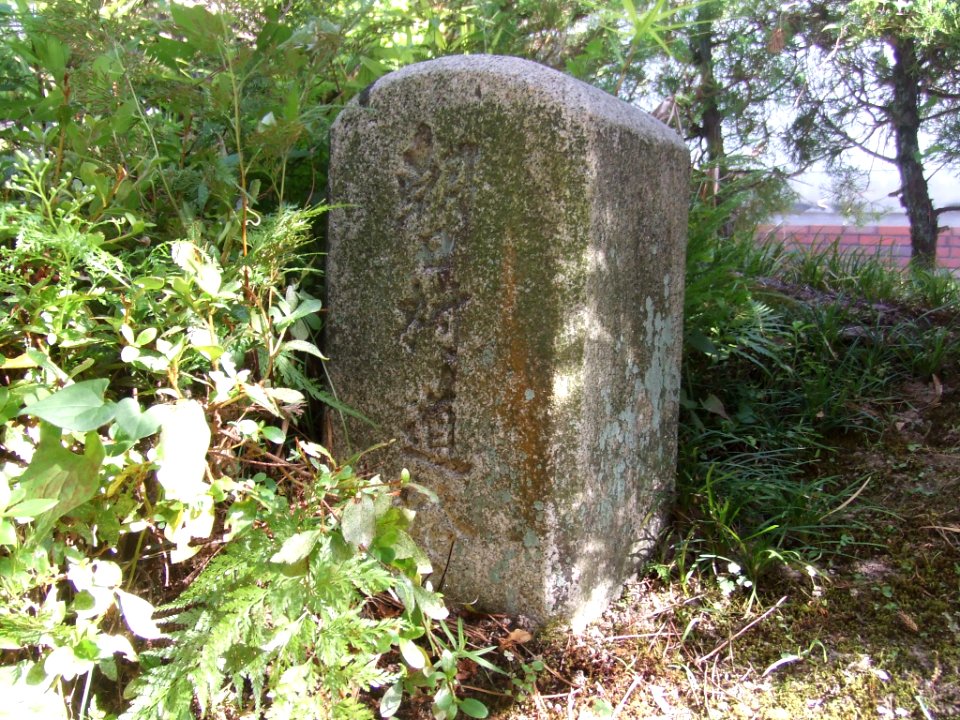 Nakashima Asahi Vil km zero