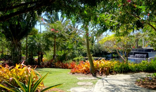 Naples Botanical Garden - Naples, Florida - DSC09632