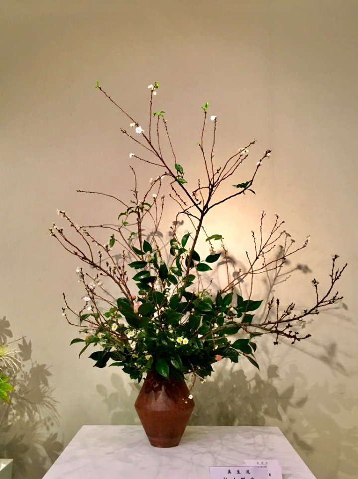 Nagoya Ikebana Art Exhibition Sakae Nov 2018 34