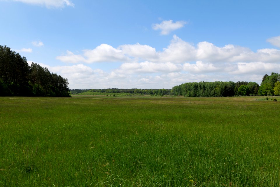 NSG Platkowsee 2021-05-29 08
