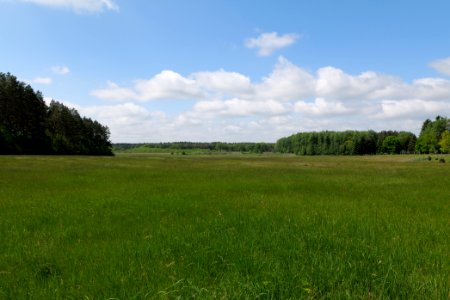 NSG Platkowsee 2021-05-29 08