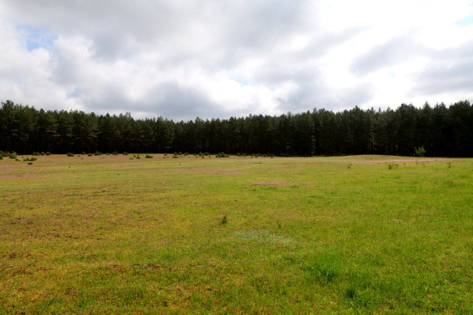 NSG Kleine Schorfheide 2021-05-29 40