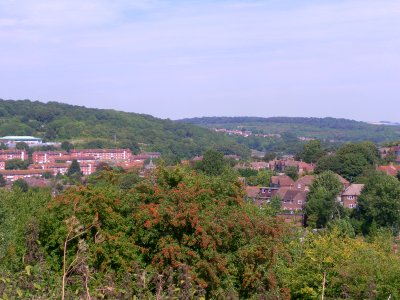 Northward view across Moulsecoomb from Meadowview, Brighton (August 2013) (3)