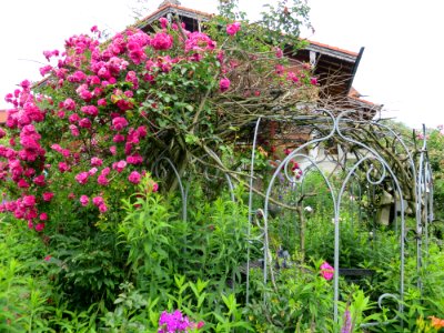 Nußdorf am Inn Garten 9
