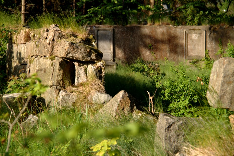 Oberlausitz 2012-05-26-7294