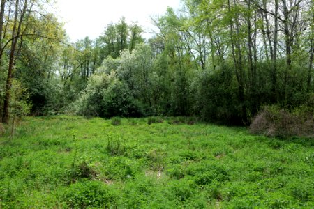 Notte-Niederung 2021-05-11 70