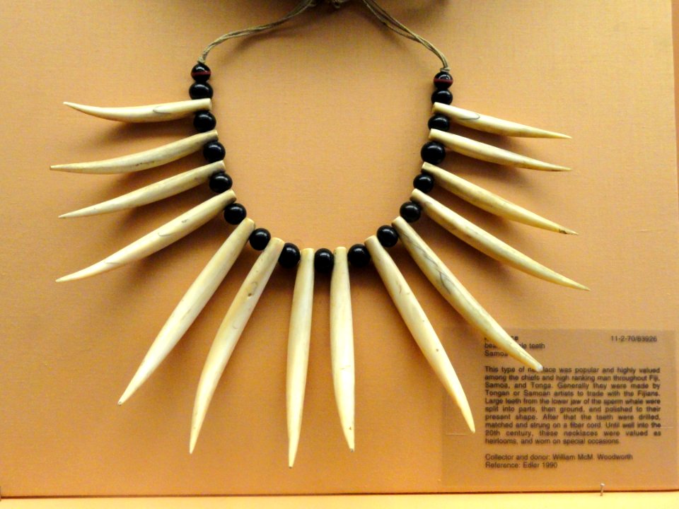 Necklace, Samoa - Pacific collection - Peabody Museum, Harvard University - DSC05758