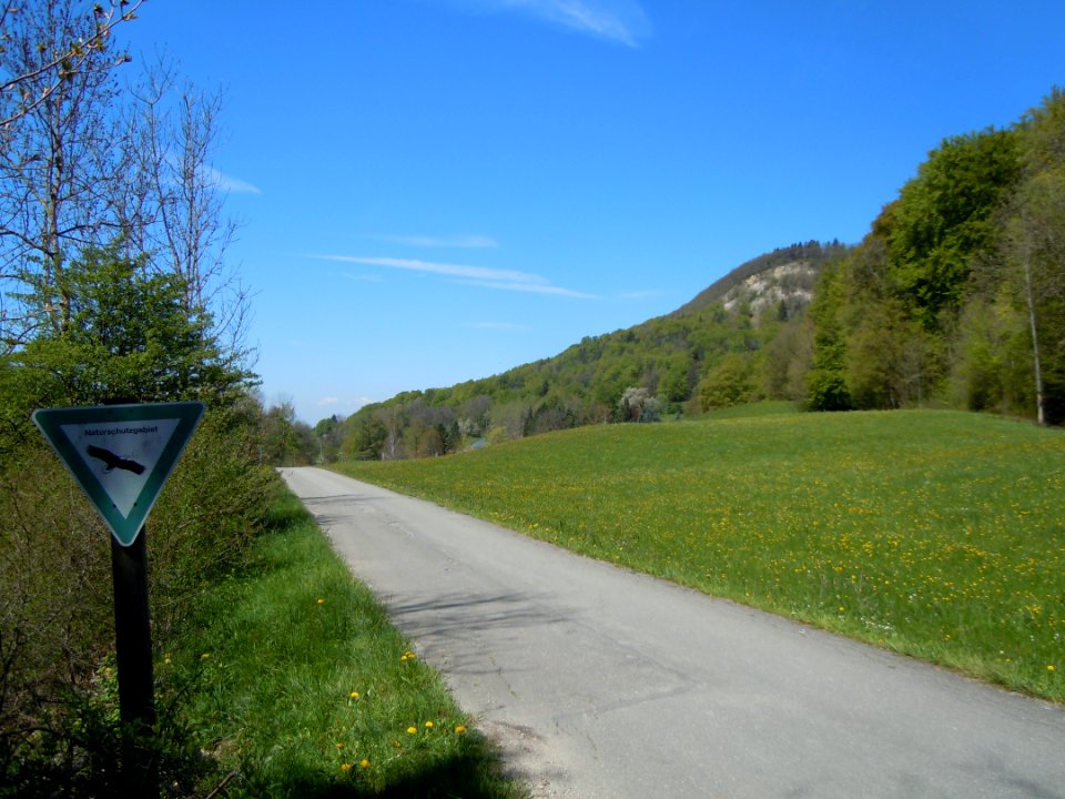 NSG Oeschenbachtal