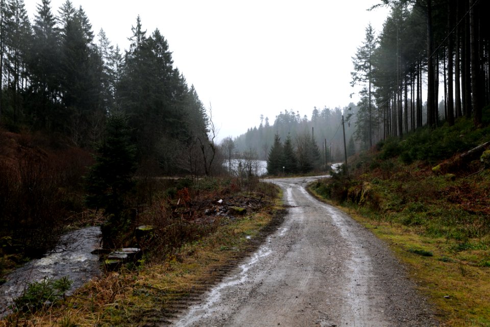 Near Seebach Northern Black Forest 2020-03-10 13