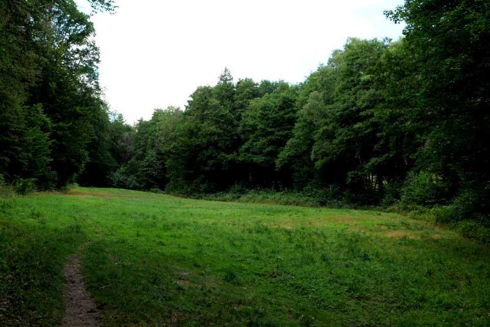 NSG Reichenbachtal 2020-08-18 40