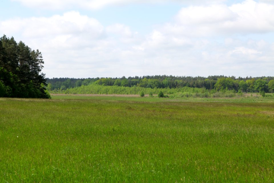 NSG Platkowsee 2021-05-29 09