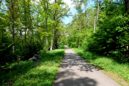 NSG Platkowsee 2021-05-29 19